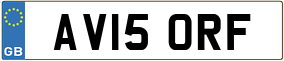 Truck License Plate
